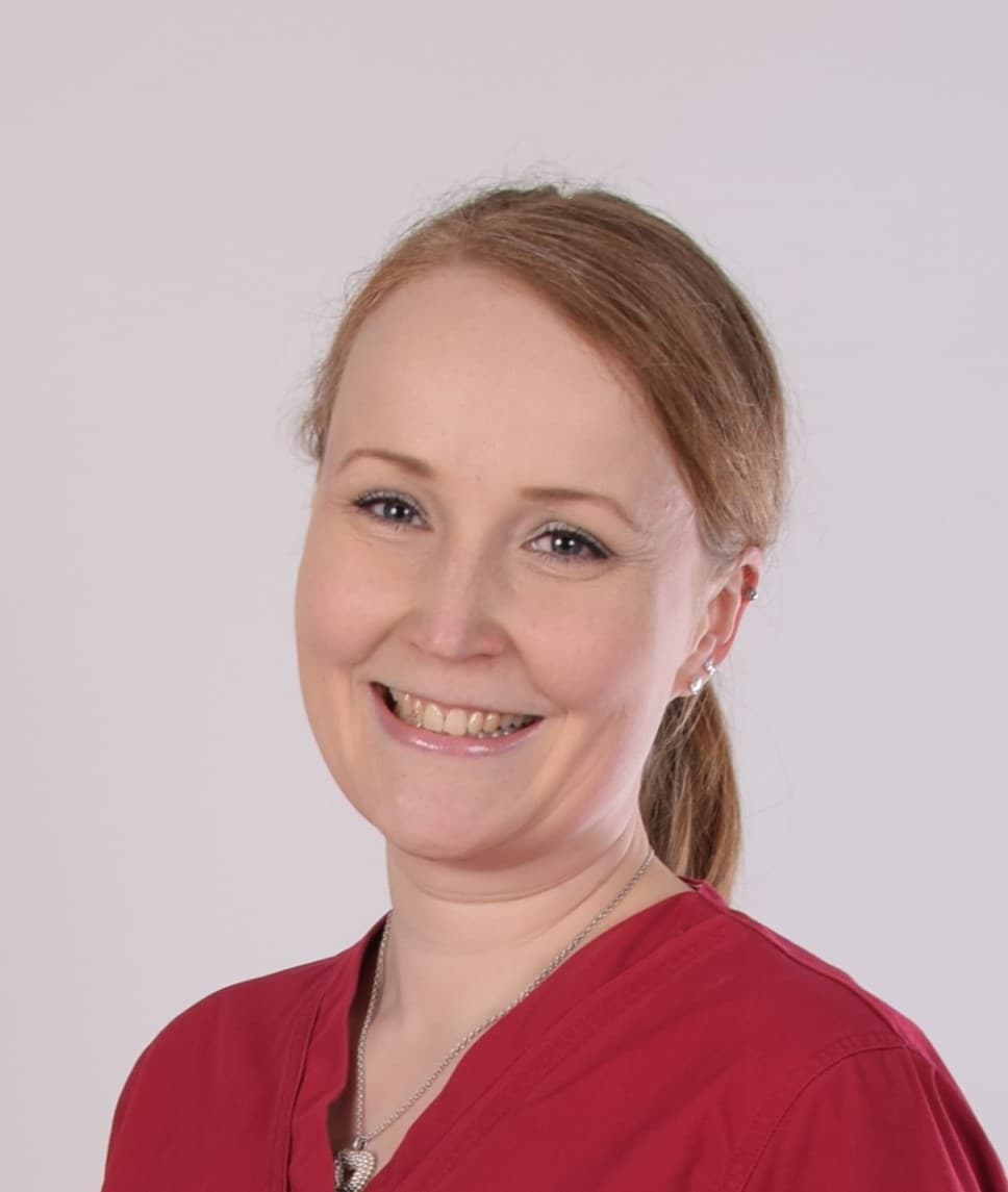 Heli Vesterinen  — Pihlajalinna