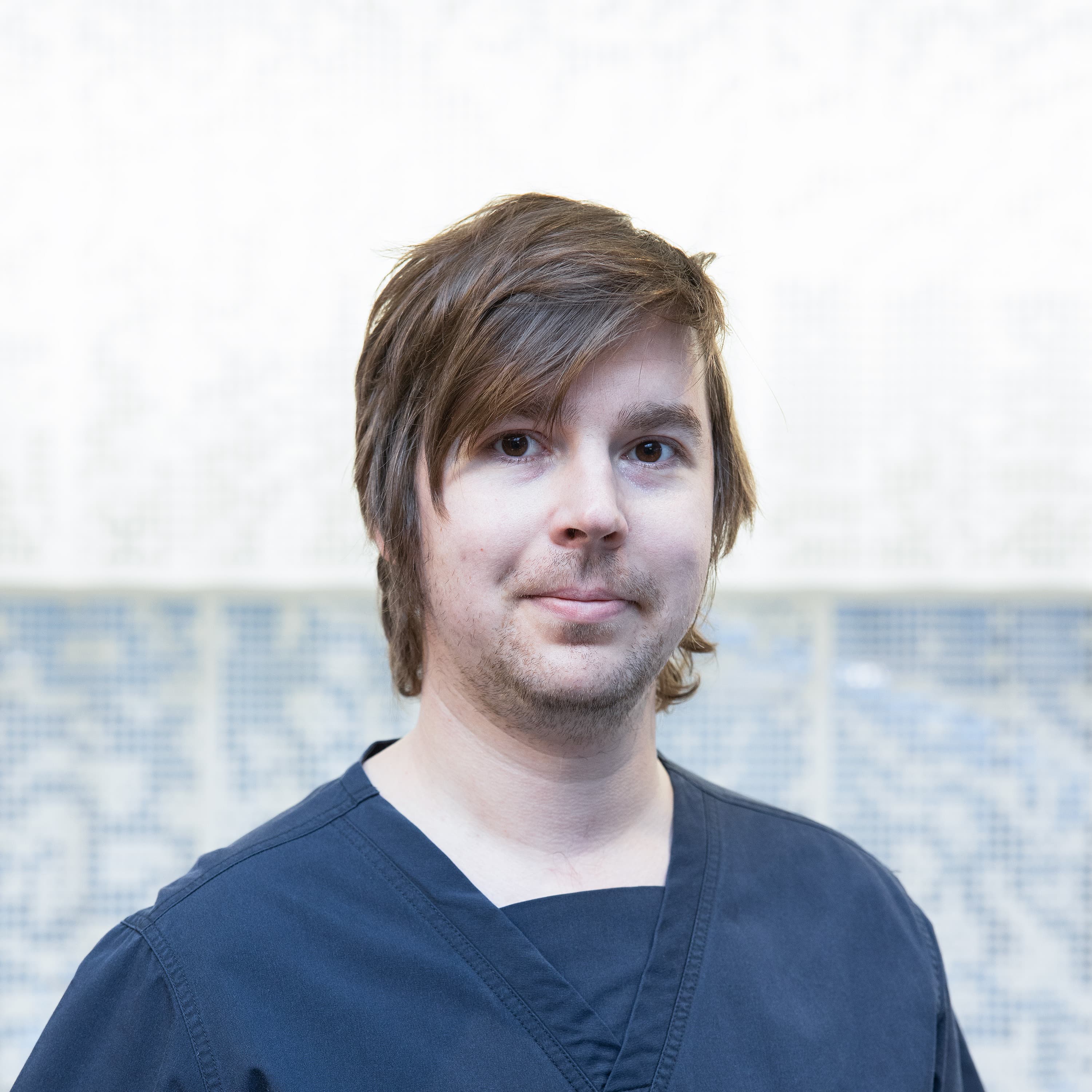 Antton Palomäki  — Pihlajalinna