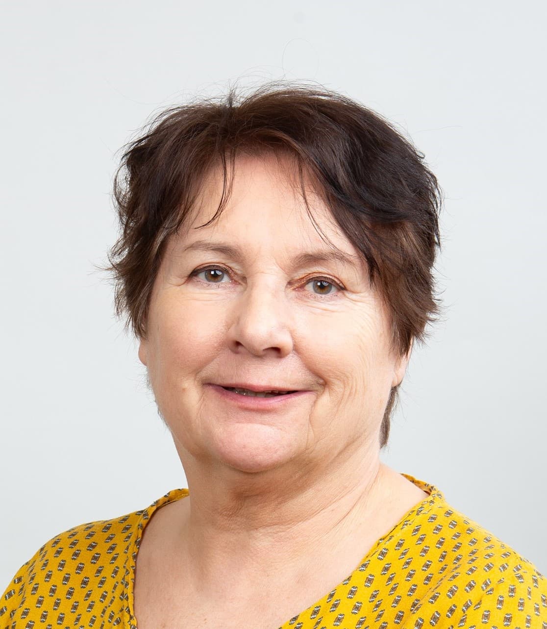 Sirpa Aaltomaa  — Pihlajalinna