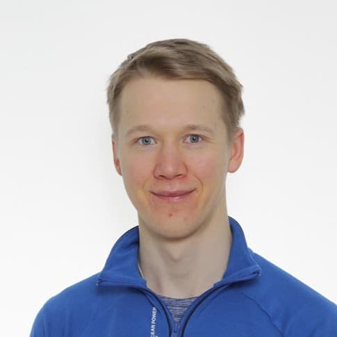 Mikko Rinkinen — Pihlajalinna