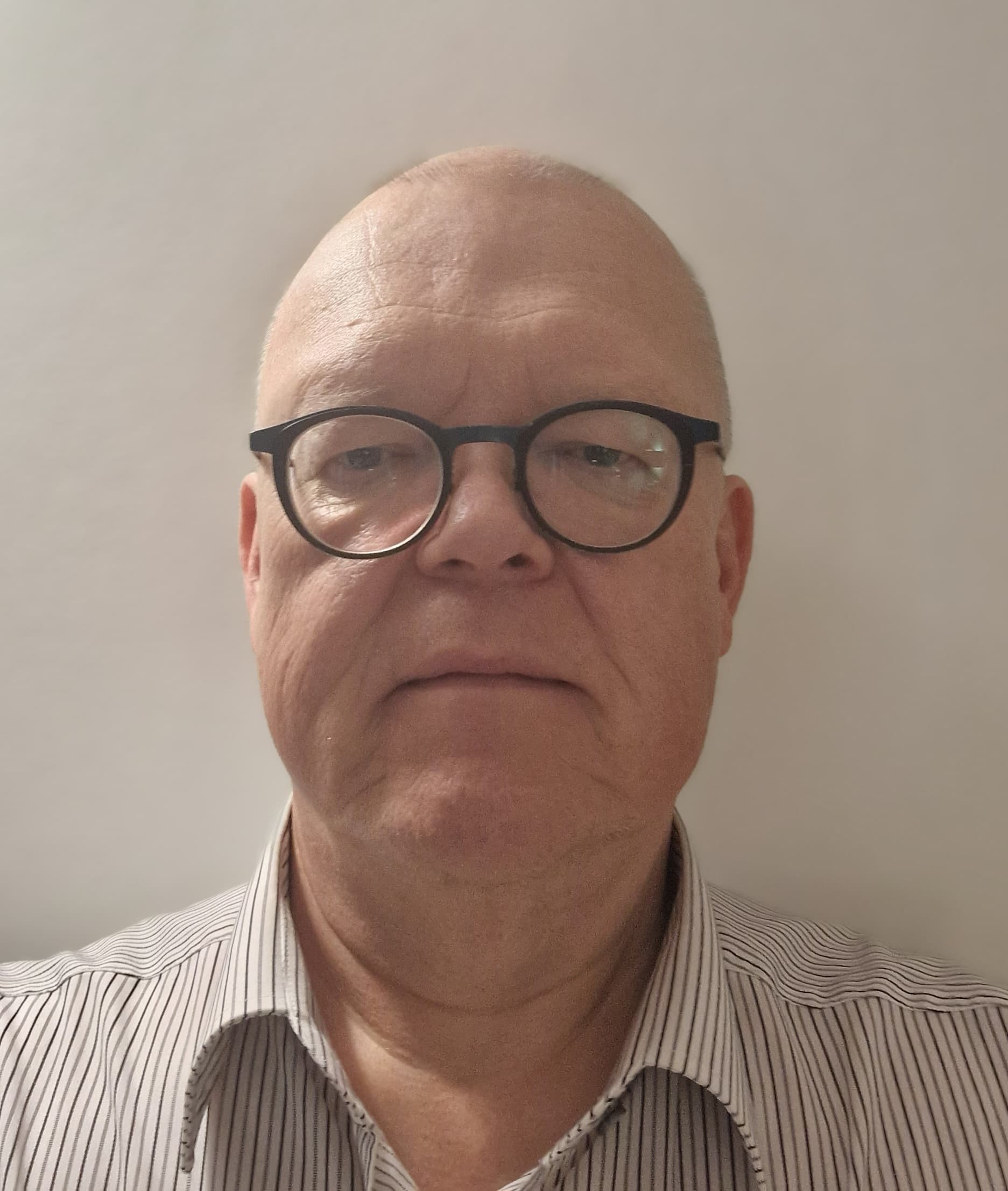 Ari Hirvi — Pihlajalinna